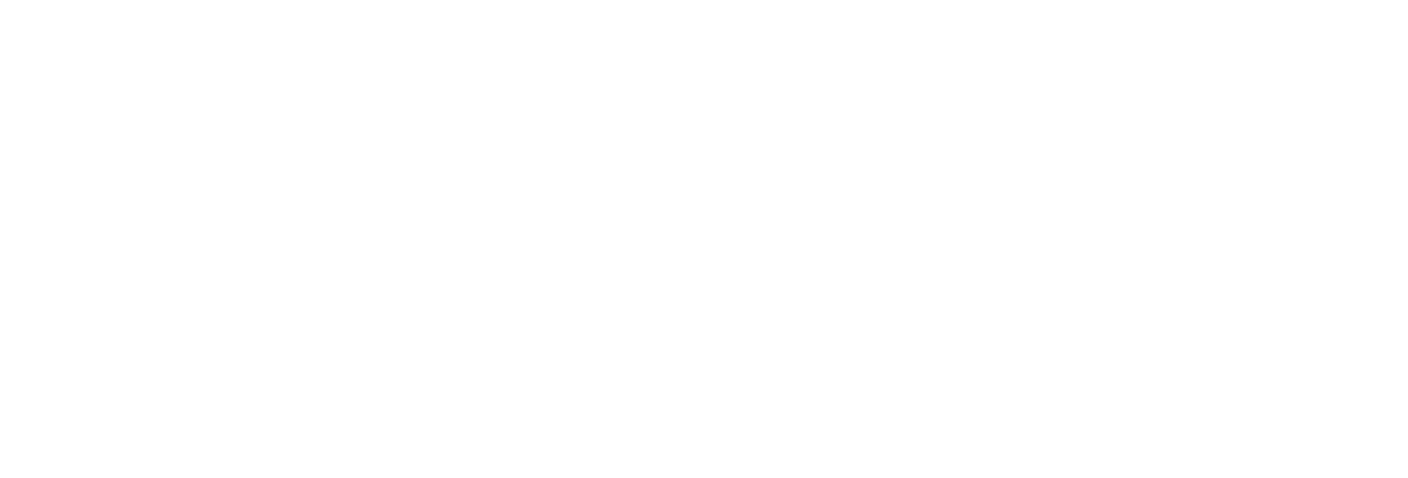 Bina